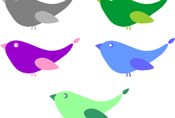Ptaszki – Odgłosy natury